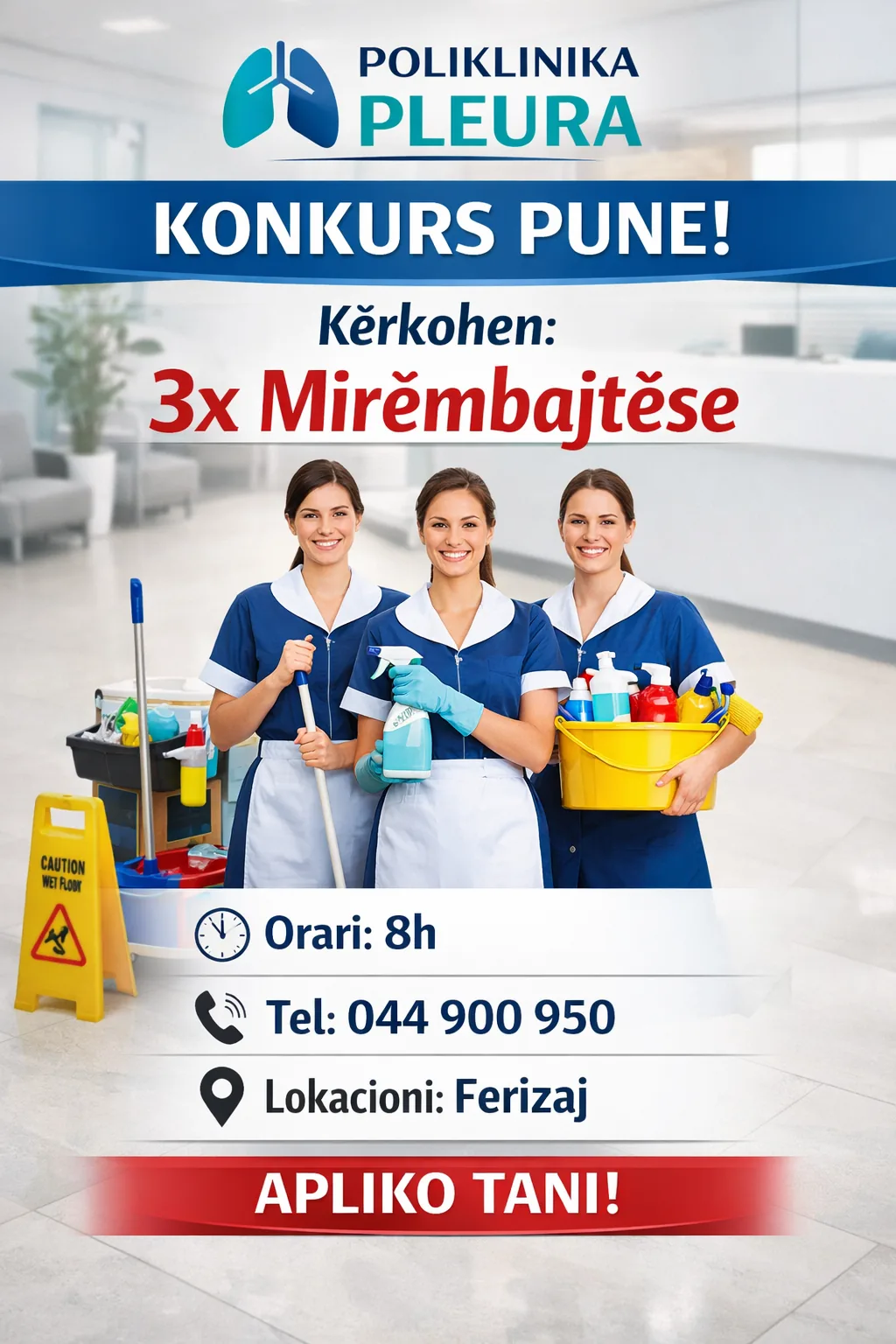 - Vende te lira pune -