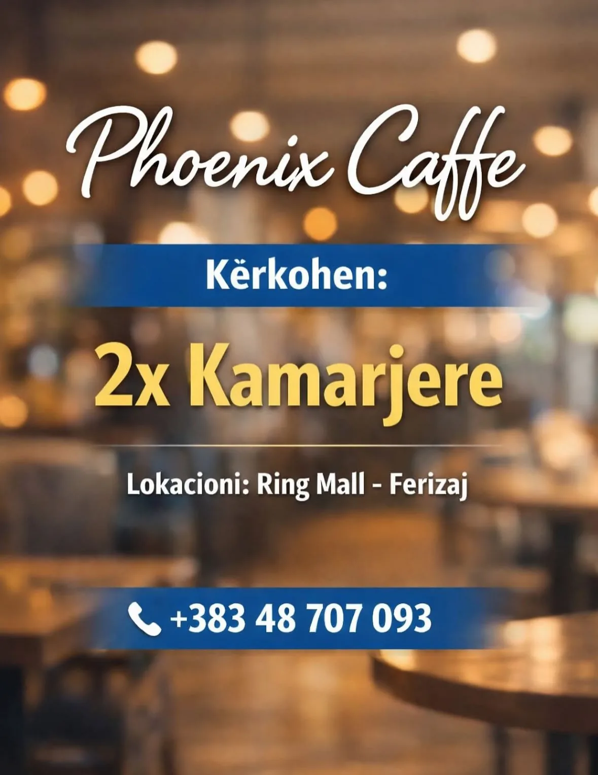 - Vende te lira pune -